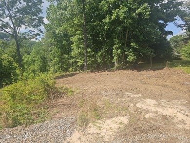 Build your mountain dream home on this beautiful 1.01-acre lot - photo 6
