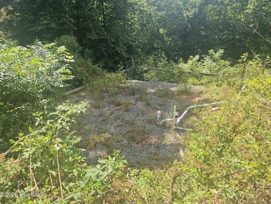 Build your mountain dream home on this beautiful 1.01-acre lot - photo 7