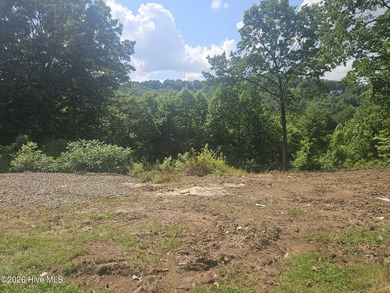 Build your mountain dream home on this beautiful 1.01-acre lot - photo 8
