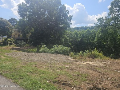 Build your mountain dream home on this beautiful 1.01-acre lot - photo 9