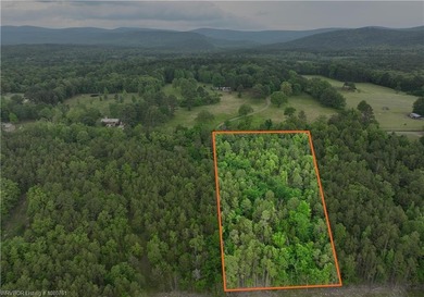 Kiamichi River Lot For Sale in Muse Oklahoma