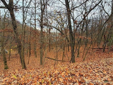 Lake of the Ozarks Lot For Sale in Sunrise Beach Missouri