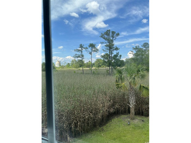 Just south of Downtown Georgetown, this beautifully maintained - photo 33