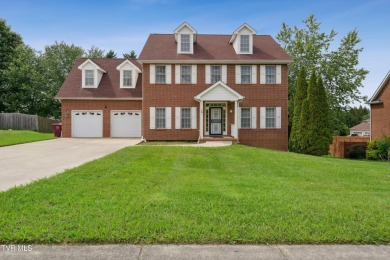 Lake Home For Sale in Johnson City, Tennessee