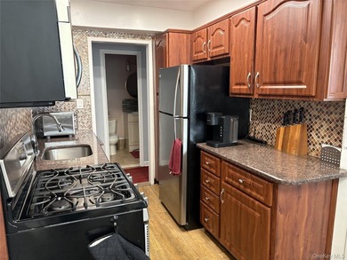 Updated sunny and spacious 2 Bedroom 2 Bath unit in one of the - photo 11