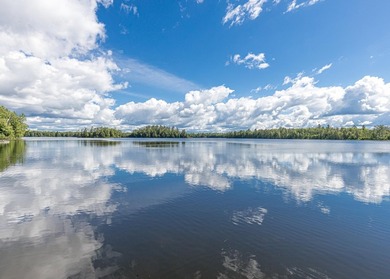 Experience a true Canadian-style retreat right here in the - photo 27