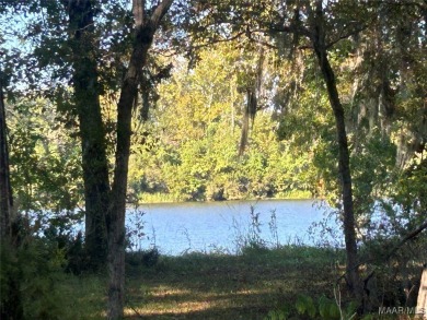 Lake Lot For Sale in Camden, Alabama