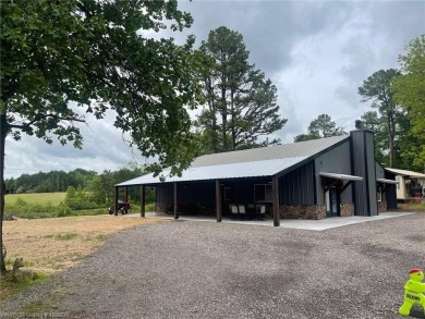 Lake Home For Sale in New Blaine, Arkansas