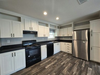 Brand New Three-Bedroom Two-Bath Home with new appliances - photo 3