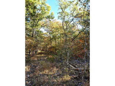 Lake Lot For Sale in Kissee Mills, Missouri