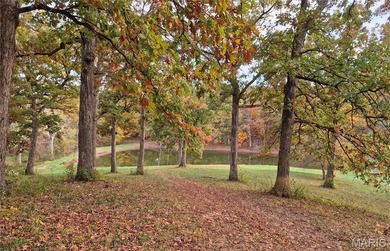 Lake Acreage For Sale in Eolia, Missouri