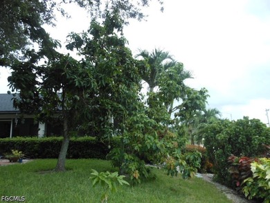 Welcome to 1236 Everest Pkwy, Cape Coral, FL 33904-a beautifully - photo 42