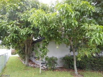Welcome to 1236 Everest Pkwy, Cape Coral, FL 33904-a beautifully - photo 45