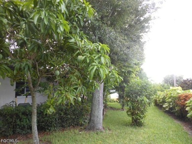 Welcome to 1236 Everest Pkwy, Cape Coral, FL 33904-a beautifully - photo 46