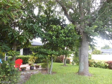 Welcome to 1236 Everest Pkwy, Cape Coral, FL 33904-a beautifully - photo 47