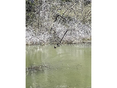 (private lake, pond, coastal) Acreage For Sale in Lower Lake California