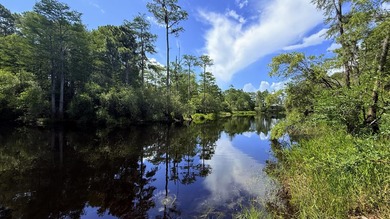 Welcome to The Driftwood by AR Homes, a stunning new - photo 12