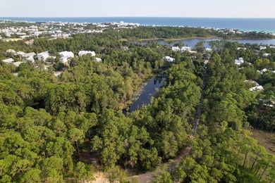 Welcome to The Driftwood by AR Homes, a stunning new - photo 18