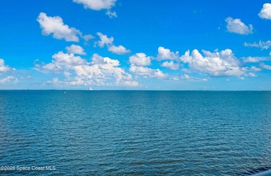 Space Coast lifestyle buyers dream about! This 2-bedroom, 2 bath - photo 8
