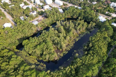 Welcome to The Driftwood by AR Homes, a stunning new - photo 19