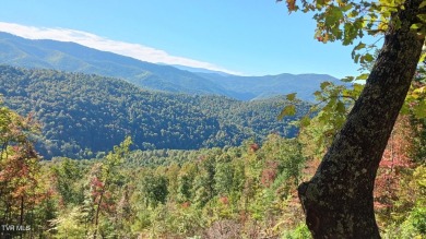 Lake Acreage For Sale in Butler, Tennessee