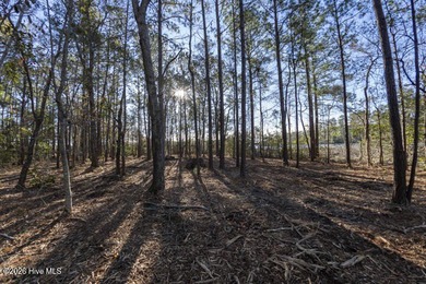 Perfectly situated 11.4 acre wooded waterfront peninsula on - photo 22