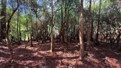 Welcome to The Driftwood by AR Homes, a stunning new - photo 23