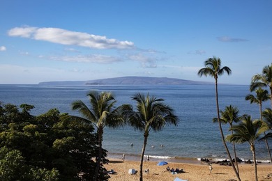 Aloha and welcome to Mana Kai 514. This beautifully updated - photo 29