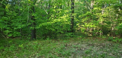 Lake Lot For Sale in Jefferson, Maine