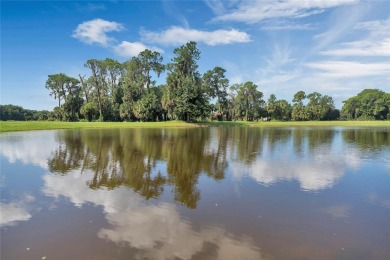 (private lake, pond, creek) Lot For Sale in Tavares Florida