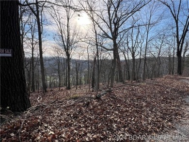 Lake of the Ozarks Lot For Sale in Camdenton Missouri