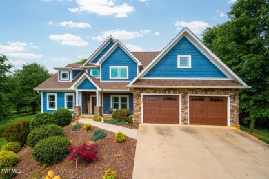 Lake Home For Sale in Blountville, Tennessee