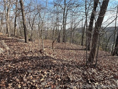 This raw land is ready for your vision, offering the perfect - photo 2