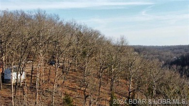 This raw land is ready for your vision, offering the perfect - photo 3