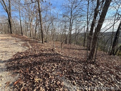 This raw land is ready for your vision, offering the perfect - photo 9
