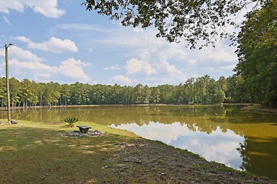 Secluded Brick Ranch Retreat on 20+ Acres with Private Lake & - photo 31