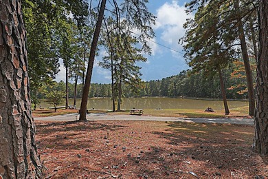 Secluded Brick Ranch Retreat on 20+ Acres with Private Lake & - photo 40