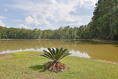 Secluded Brick Ranch Retreat on 20+ Acres with Private Lake & - photo 41
