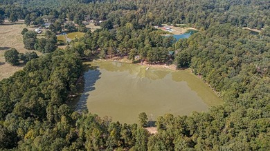 Secluded Brick Ranch Retreat on 20+ Acres with Private Lake & - photo 42