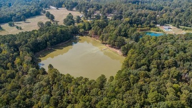 Secluded Brick Ranch Retreat on 20+ Acres with Private Lake & - photo 43