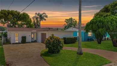 (private lake, pond, coastal) Home For Sale in New Port Richey Florida