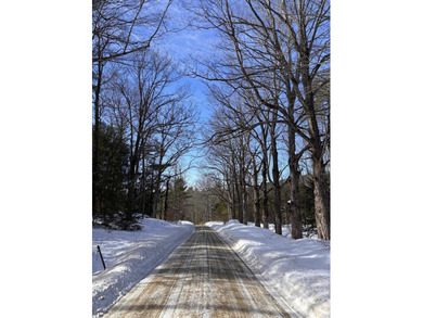 This 30.67 acre residential building lot is ready for your next - photo 11