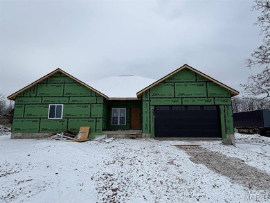 (private lake, pond, creek) Home For Sale in Lebanon Missouri