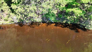 Attention all Three Lakes Chain waterfront buyers: Imagine - photo 11