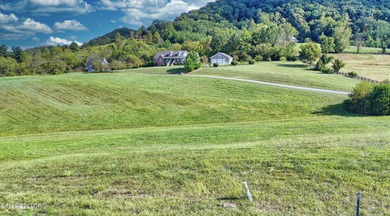 Lake Living Dreams can come true! Lot 73CR could be the .85 - photo 11