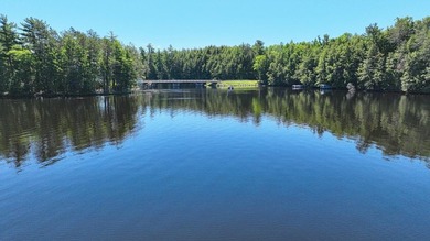 Attention all Three Lakes Chain waterfront buyers: Imagine - photo 12