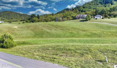 Lake Living Dreams can come true! Lot 73CR could be the .85 - photo 12