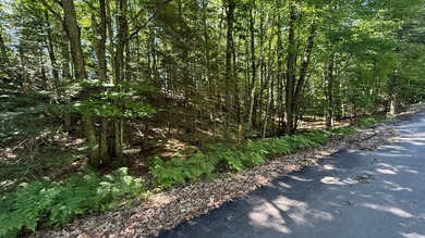 Attention all Three Lakes Chain waterfront buyers: Imagine - photo 13