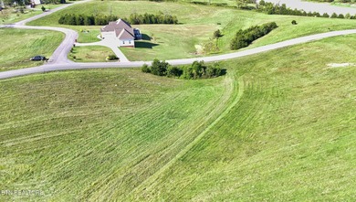 Lake Living Dreams can come true! Lot 73CR could be the .85 - photo 13