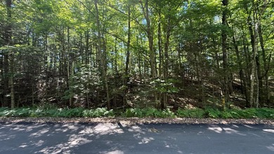 Attention all Three Lakes Chain waterfront buyers: Imagine - photo 14